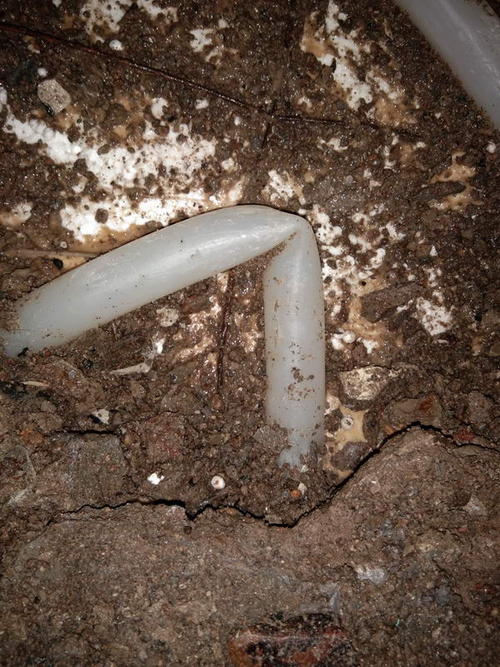 武夷山堵点精准查找